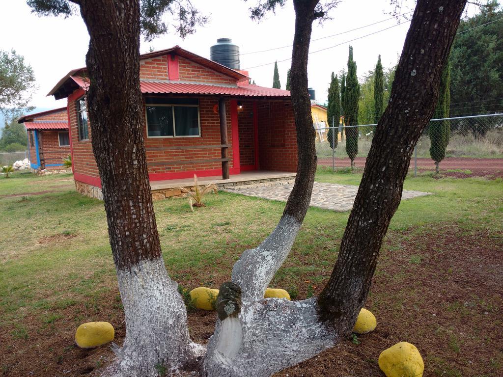 Cabanas Gotcha Huasca Otel Huasca de Ocampo Dış mekan fotoğraf